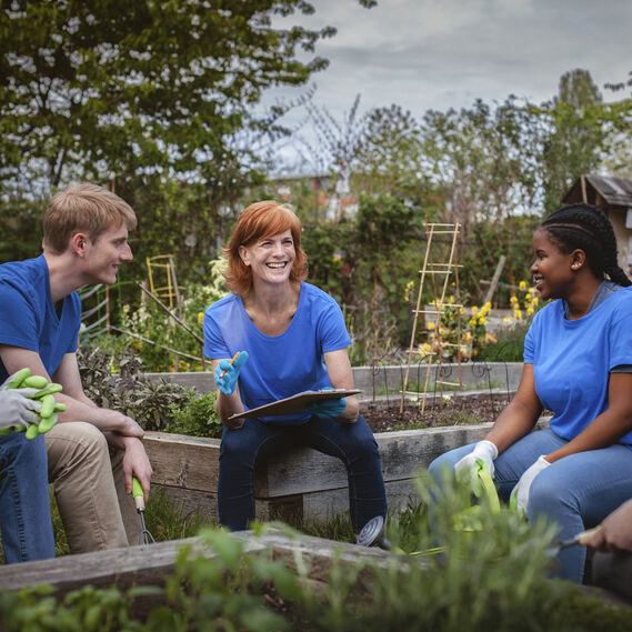 Team members planning a garden